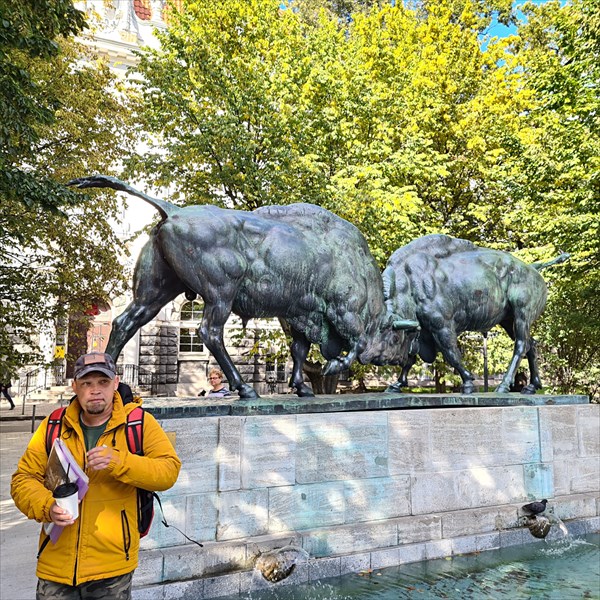 063-Борющиеся зубры